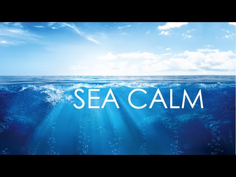 Instant Anxiety and Stress Relief (HEALING SEA) Quiet Ocean, Nature Healing Sleep Music, Relax