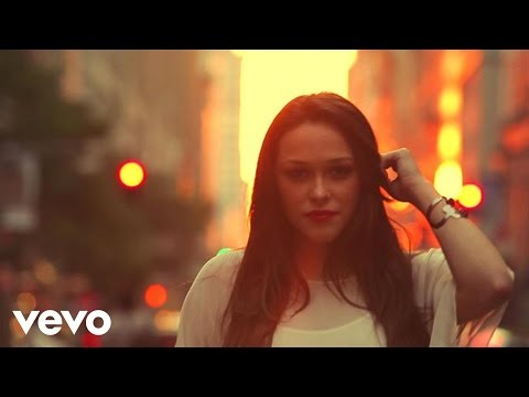 Fly video