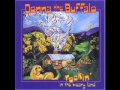 Tides of Time - Donna The Buffalo