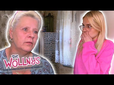 WTF! Ein Geist im Wollny-Haus!? 👻😱 I Folge 265 I Die Wollnys I RTLZWEI