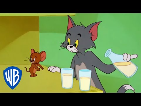 Tom & Jerry in italiano | Tom e Jerry a schermo intero | WB Kids