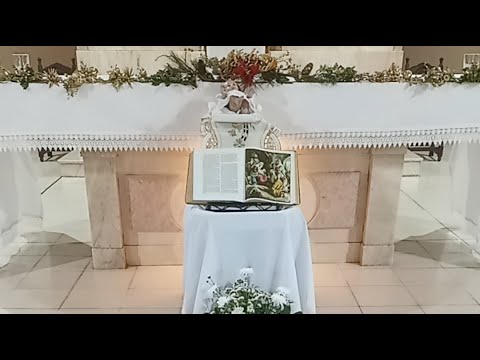 Santa Misa desde Catedral Inmaculada Concepción. Tucumán