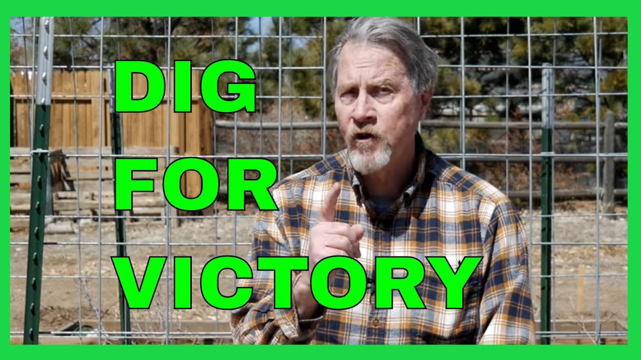 Why You Need a Victory Garden