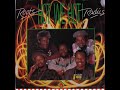 Roots Radics Hot We Hot Dub 1989