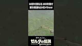 10秒で笑える 寝すぎて首を寝違えたキリンクｗｗ【ゼルダの伝説 ブレス オブ ザ ワイルド】