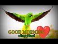 Good Morning New Good Morning Good Morning Status Short