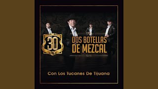 Dos Botellas De Mezcal