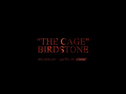 BIRDSTONE - The Cage (Official Video)