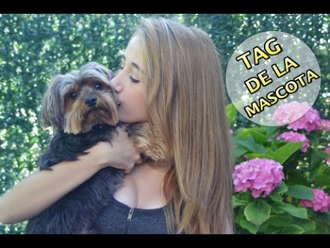 ¡TAG DE LA MASCOTA! | FURRY FRIEND TAG!