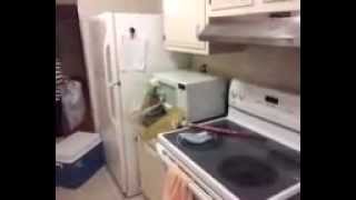 preview picture of video '660 Biltmore drive va beach Virginia for rent'