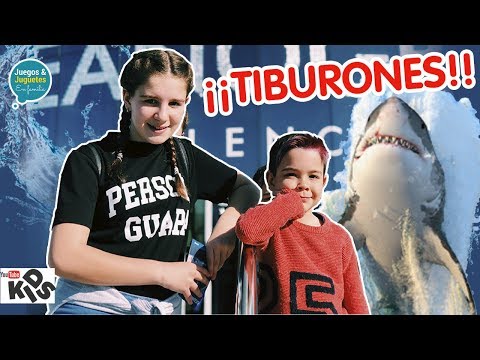 Aventuras bajo el AGUA // Vemos TIBURONES 🦈 en Oceanografic // Familukis