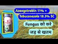Azoxystrobin 11%+Tebuconazole 18.3%। कृषिरासायन Company।Super-Hit । Fungicide।TechnicalTechn