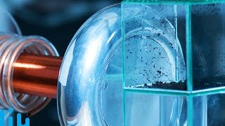 TESLAPHORESIS IS HERE -- Mind Blow #104