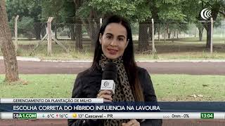 Miniatura do vídeo