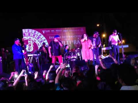 Thumbnail for Y después de todo - Los Van Van