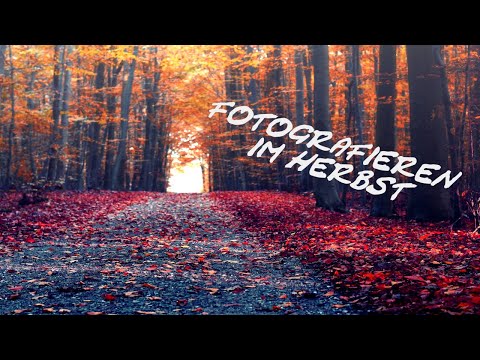 Fotografieren im Herbst 🍁 Tipps für Anfänger / Cuxhaven-Herbst | Cuxhaven Fotografiert