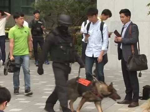 A South Korea Professor Injured