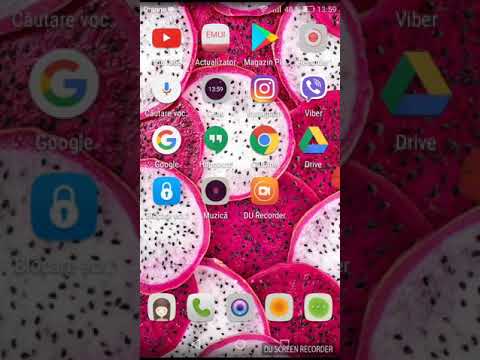 Cele 7 rase de cîini preferate de mine