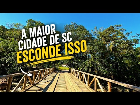 A Maior Cidade de SC Esconde Este Paraíso na Serra Dona Francisca | 4K
