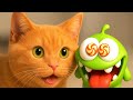 Cute Little Om Nom And A Funny Cat Cartoons For Kids