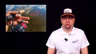 Чем отличается леска от монофильной лески