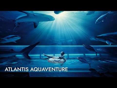 atlantis aquaventure excursion royal caribbean
