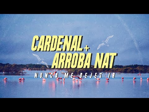 Cardenal + Arroba Nat - Nunca Me Dejes Ir (Video Oficial)
