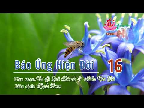 Báo Ứng Hiện Đời Tập III - 7