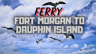 RIDE THE FERRY FROM FORT MORGAN to DOLPHIN ISLAND ITS AMAZING!!!!