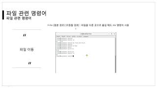 [따라學IT] 03. 파일 관련 명령어 - 이론