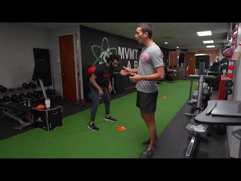 Reactive Lateral Shuffle Drill for Cricket