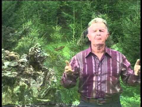 DOBRI NOVESKI - SNOSTI JAS TI DOJDOV NADE