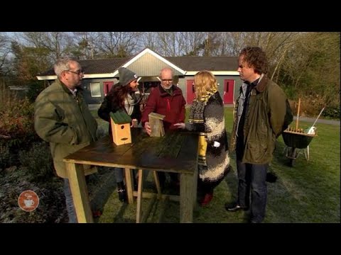 Wat kunnen we doen voor de vogels? - KOFFIETIJD