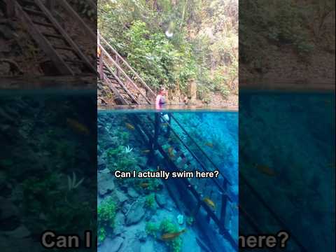 Can I actually swim here?
