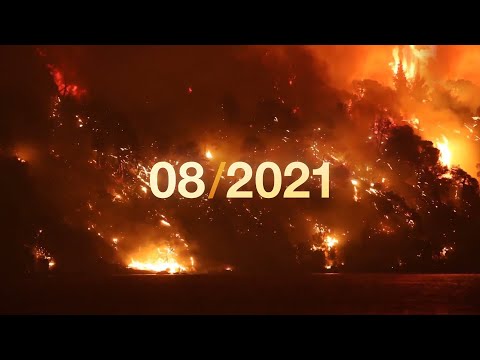 World Music: l'été 2021 en musique et en images