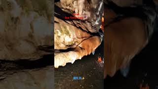 『malaysia guaTempurung ✨』鍾乳洞が長いーー!  #travel #malaysia #洞窟 #鍾乳洞 #マレーシア#