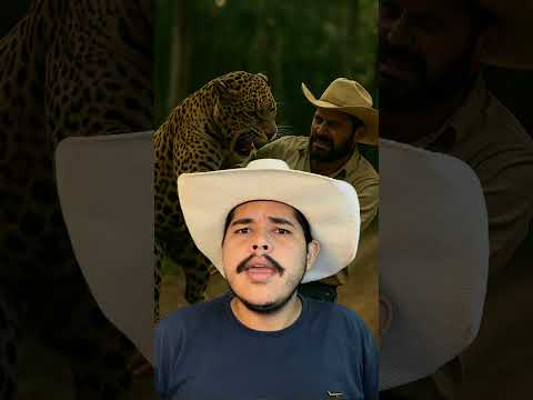 Entenda Como Aconteceu O Ataque Da Onça Em Campinaçu – GO