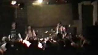 screeching weasel - totally