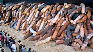 75 Coisas Estranhas Acontecendo Agora Mesmo ao Redor do Mundo