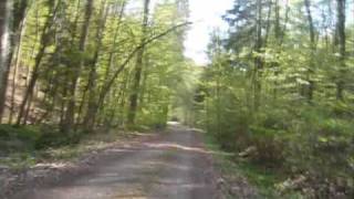 preview picture of video 'Timelapse video: Biking from Sindelfingen to Herrenberg, passing through Schönbuch forest'