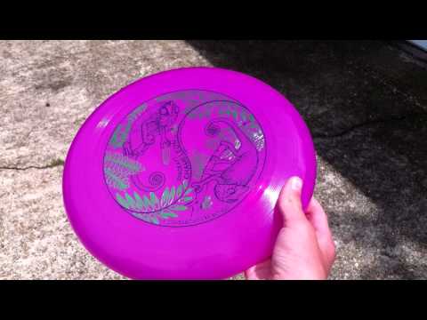 Check Out This Dude's Insane Ultimate Frisbee Catch