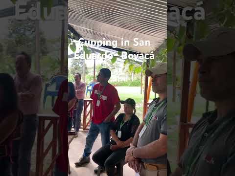 Cupping in San Eduardo - Boyaca