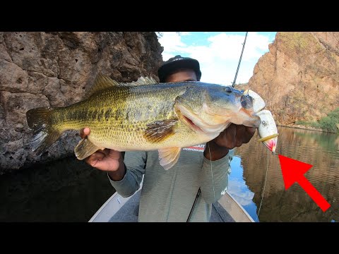 Bass Fishing With Big Swimbaits Is TOO Easy!