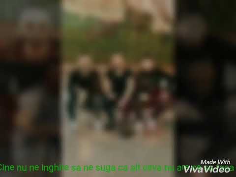 Mafia SMN de la Fetesti