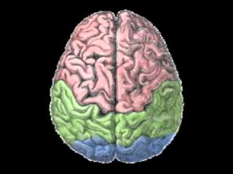 Top 10 Scientific Misconceptions