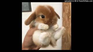 yelle - romeo (nightcore)