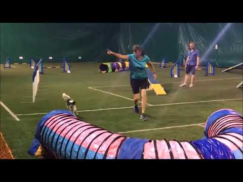 2017 08 26 UKI trials all runs except snooker