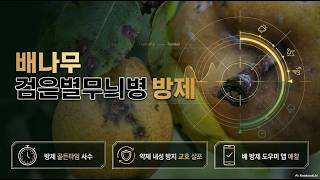 [농사정보] 배_검은별무늬병