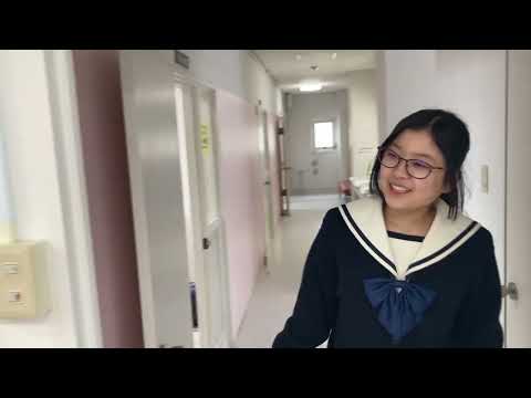 動画の説明