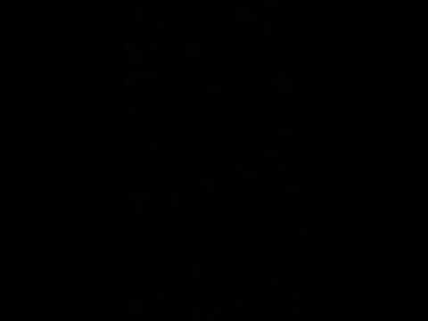 First Grade Forte or Piano?! #4